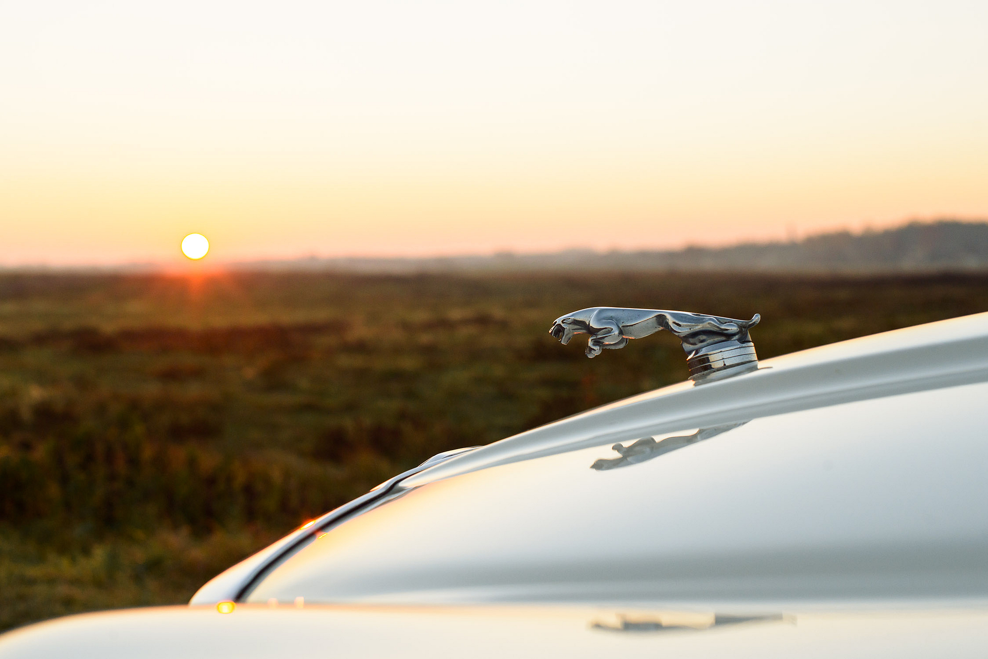 senovinio automobilio nuoma 14