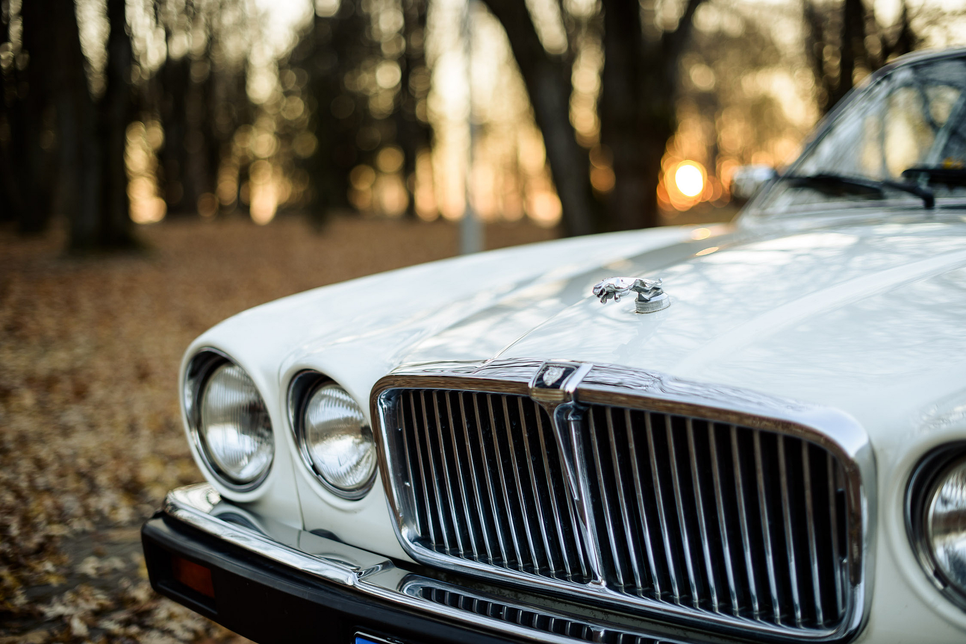 senovinio automobilio nuoma-7